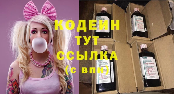 тгк Абаза