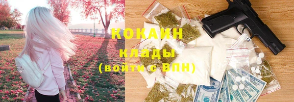 тгк Абаза