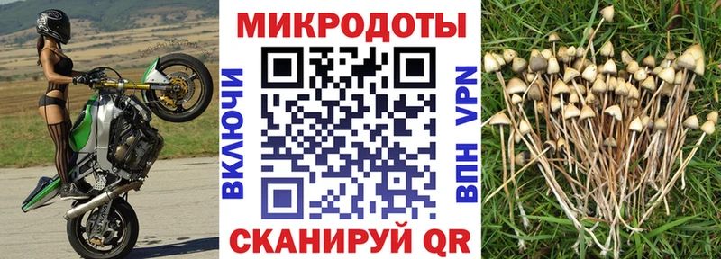 Галлюциногенные грибы ЛСД  купить закладку  Вичуга 